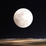 Download Nature Moon PFP