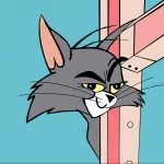 TV Show Tom And Jerry PFP