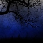Download Photography Night PFP