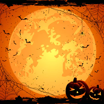 spider spider web jack-o'-lantern orange (Color) halloween holiday PFP