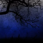 photography night PFP