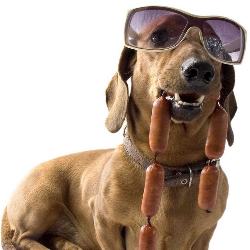 Sunglasses And Sausages