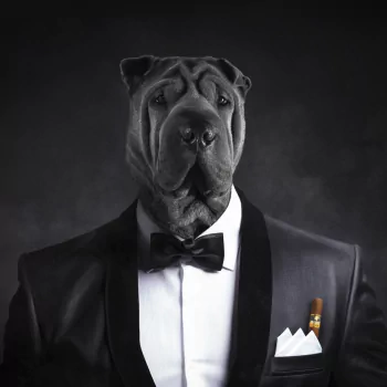 muzzle suit dog funny PFP