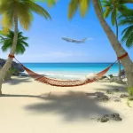 photography tropical PFP