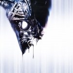 Download Movie Alien Vs. Predator PFP
