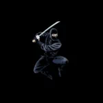 funny ninja PFP