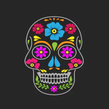 minimalist skull dark PFP