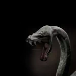  Anaconda