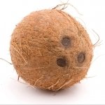 Download Food Coconut PFP