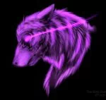 Vibrant purple wolf head illustration with glowing neon lines, designed as a bold and striking forum avatar/profile photo.