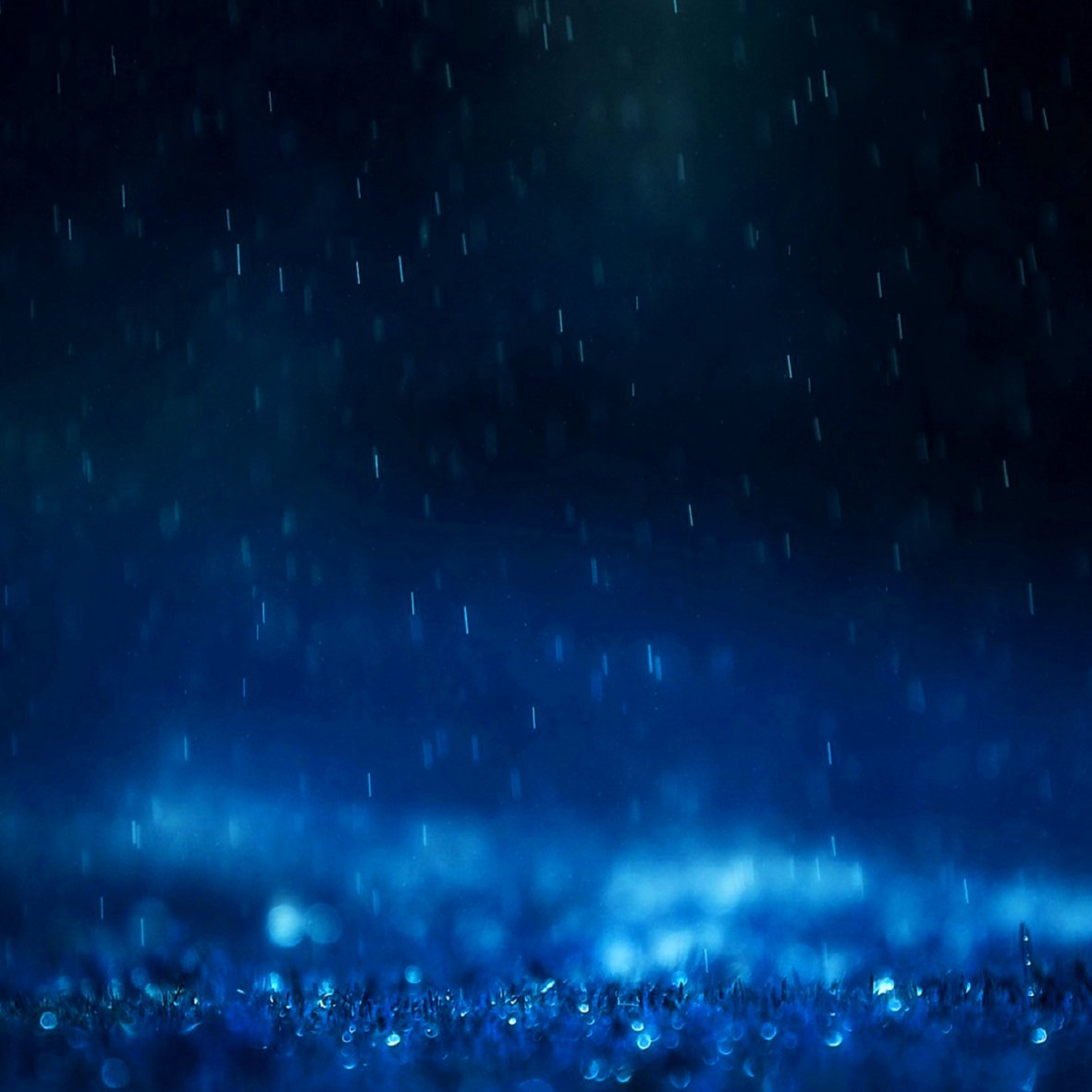 Download Water Drop Night Rain Photography PFP