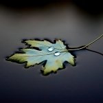 Download Nature Fall PFP