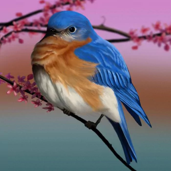 branch eastern bluebird bird Animal PFP