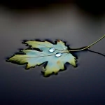nature fall PFP