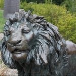 Download Man Made Golden Gate Park PFP