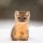 marten
