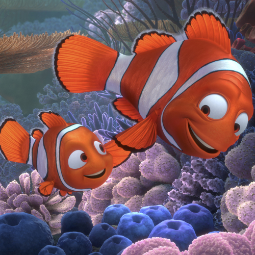 Finding Nemo Pfp