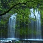 Download Nature Waterfall PFP