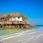 man made house PFP