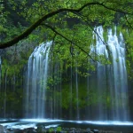 nature waterfall PFP