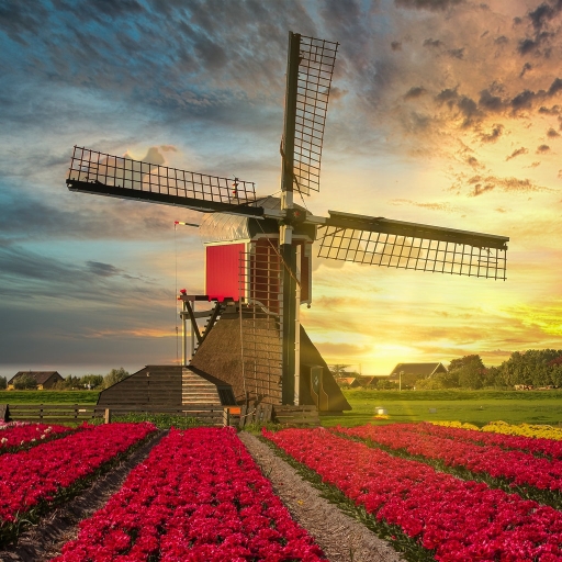 Windmill Pfp by Leon Tukker