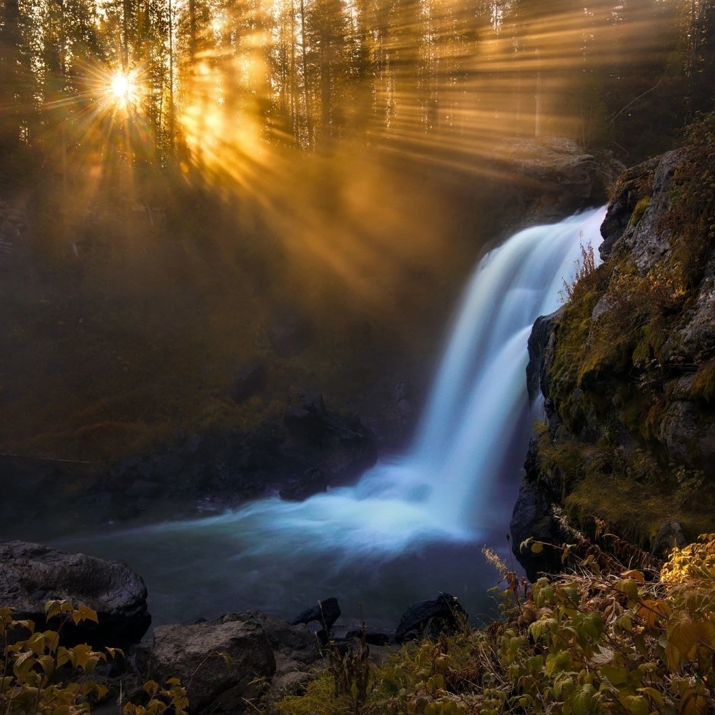 Sun Setting on Forest Waterfall Forum Avatar | Profile Photo - ID ...