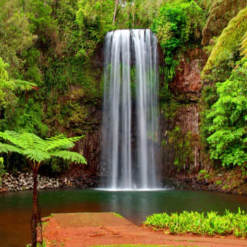 tropical waterfall nature PFP