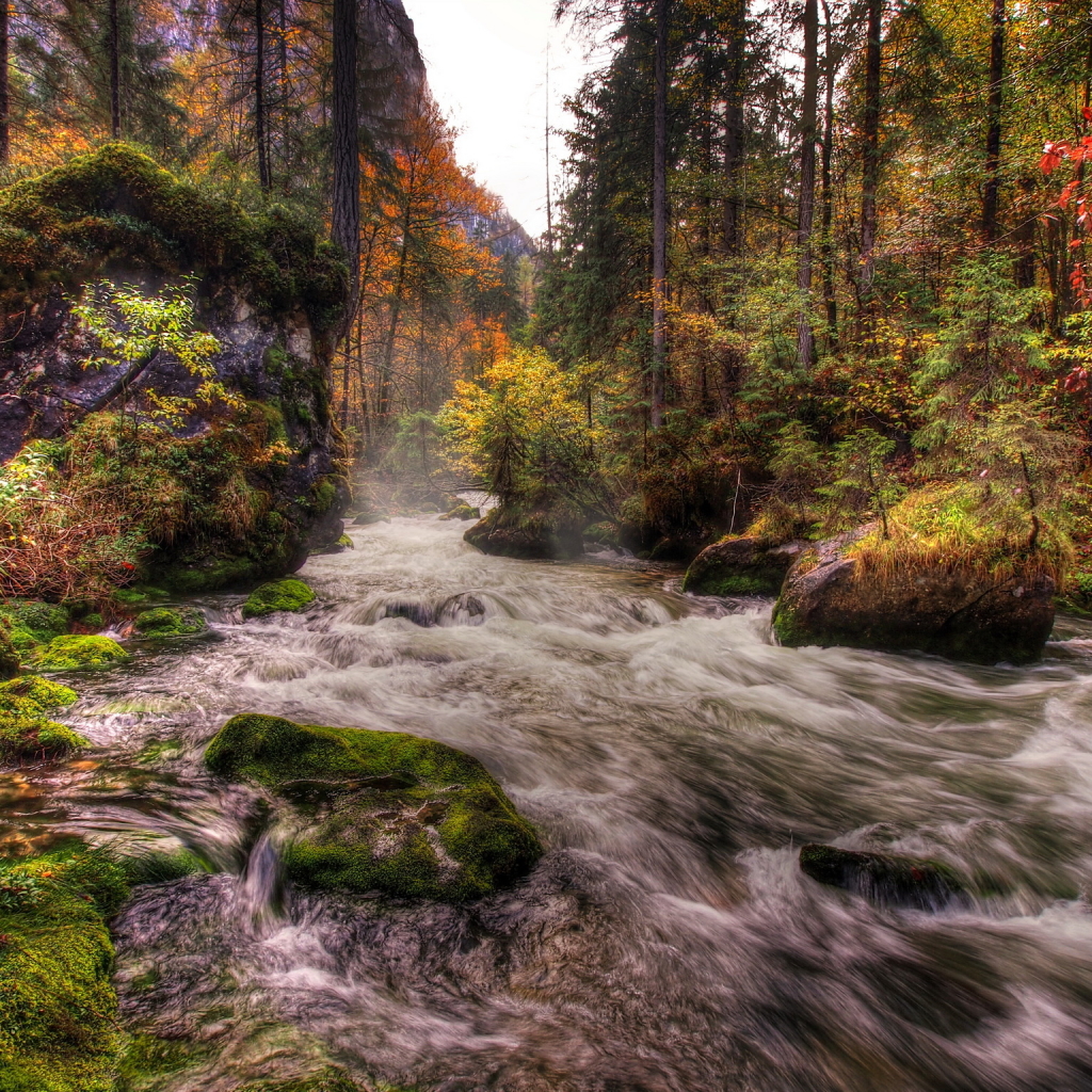 Rushing River through Autumn Scenery