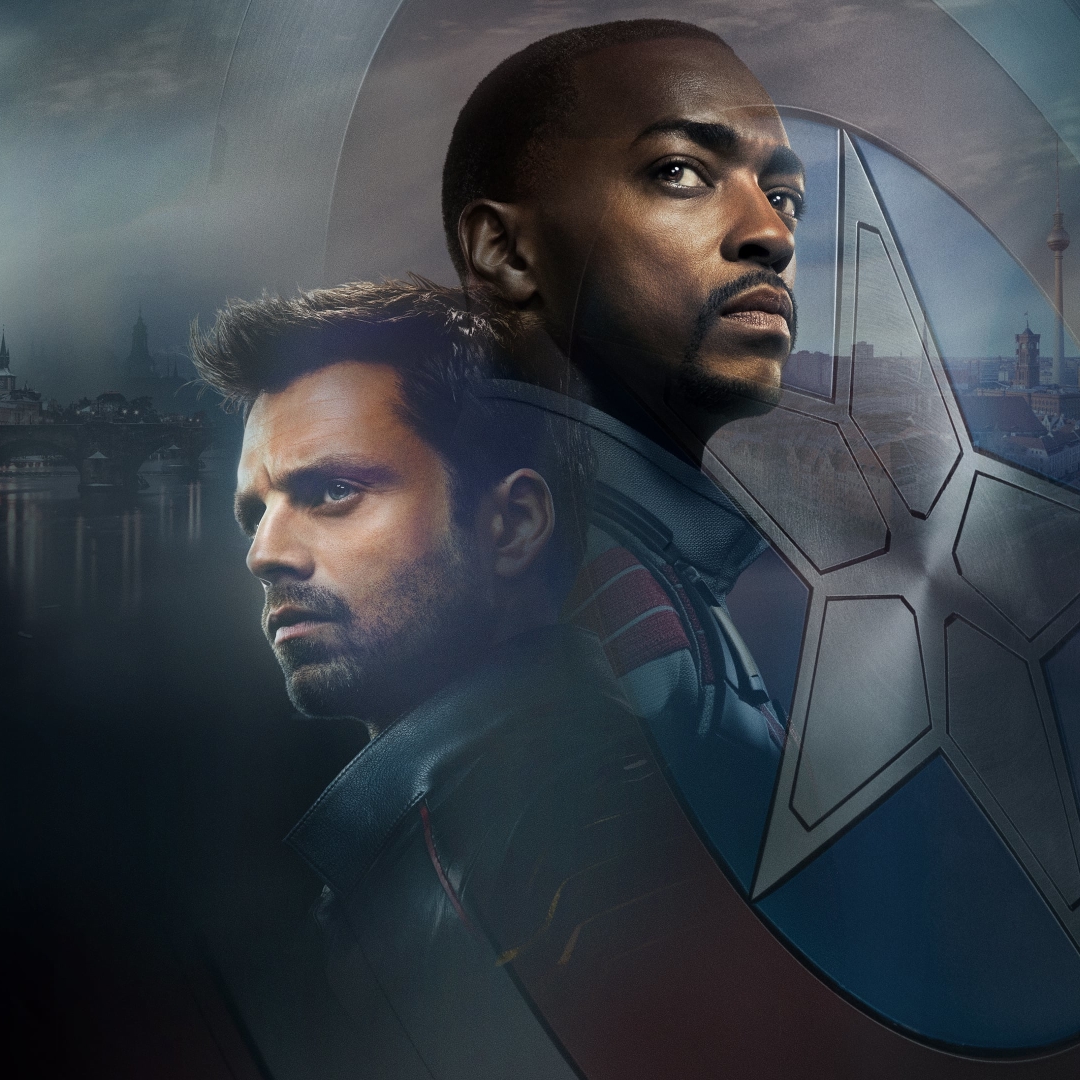 The Falcon and the Winter Soldier Pfp