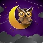 Download Animal Owl PFP