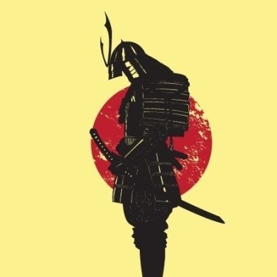 Download Samurai Fantasy PFP