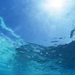 nature water PFP