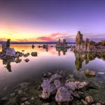 nature reflection PFP