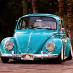 vehicle Volkswagen Beetle PFP
