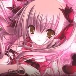 Download Anime The Familiar Of Zero PFP