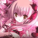 Anime The Familiar of Zero PFP