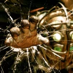 video game Bioshock PFP