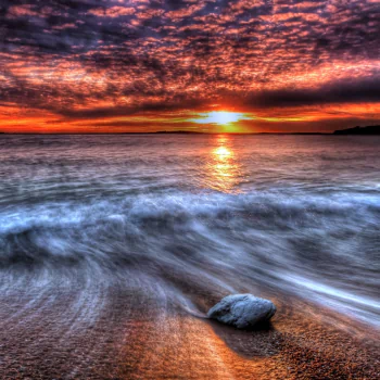nature beach PFP