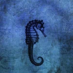 Animal seahorse PFP