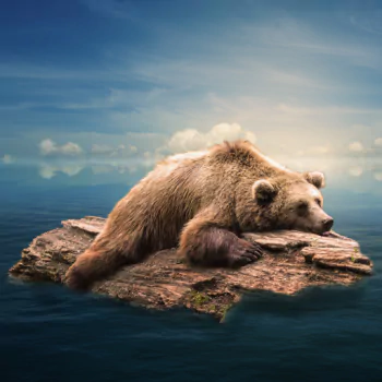  Bear Alone in the Ocean