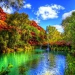 Download Nature Scenic PFP