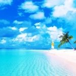 Download Photography Beach PFP
