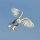 Snowy Owl