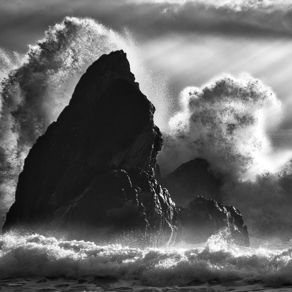 Download Black & White Wave Nature PFP