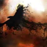 Animal raven PFP