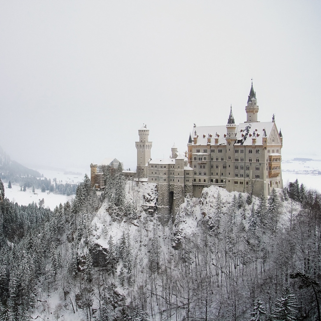 Neuschwanstein Castle Pfp by Nico Benedickt