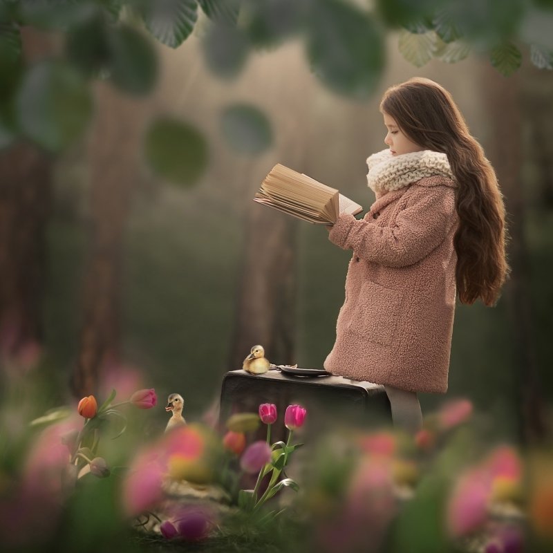 Download Depth Of Field Long Hair Brunette Child Chick Suitcase Book Tulip Photography PFP
