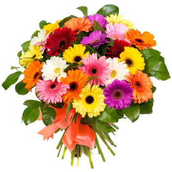  Colorful Gerbera Bouquet
