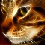 Fractal-style glowing cat face in warm gold and orange tones, presented as a stylized forum avatar/pfp.