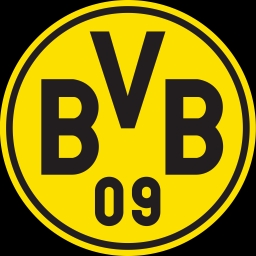 Borussia Dortmund Pfp